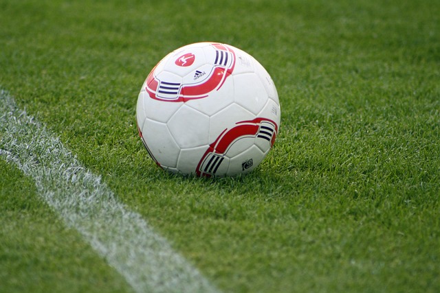 亮相都备受 亮相都备受