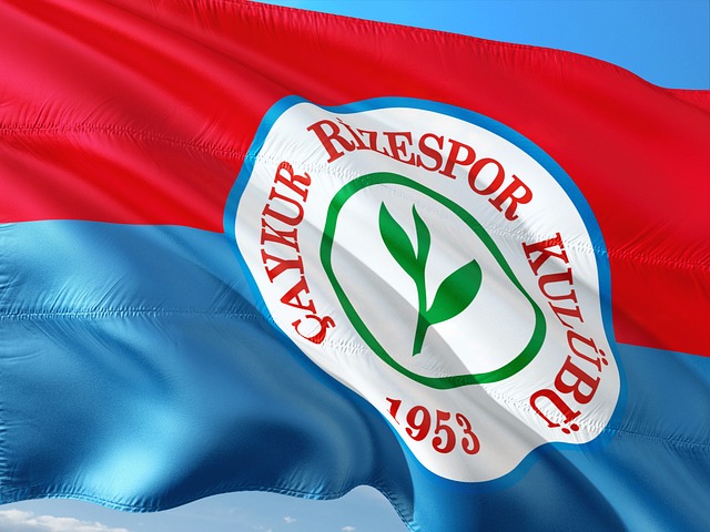 在足球比赛 在足球比赛